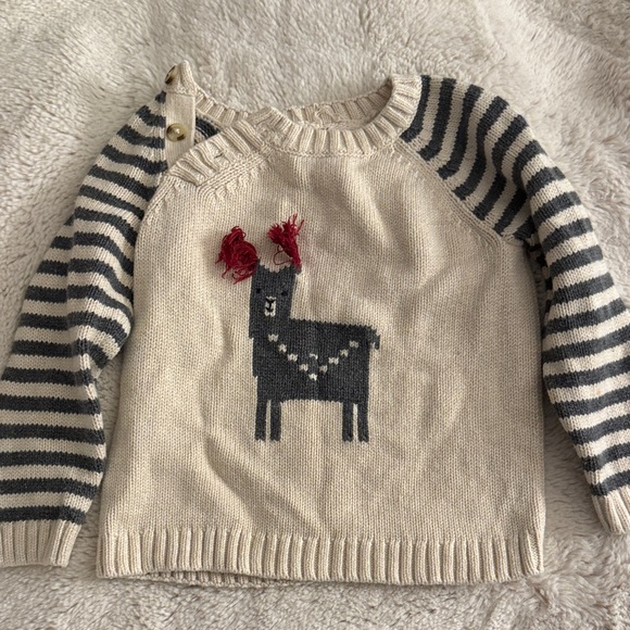 Tea Collection Knit 100% cotton Sweater with Llama Design - Picture 1 of 4